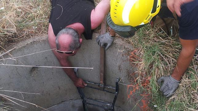 Rescate del animal en el pozo al que había caído de forma accidental
