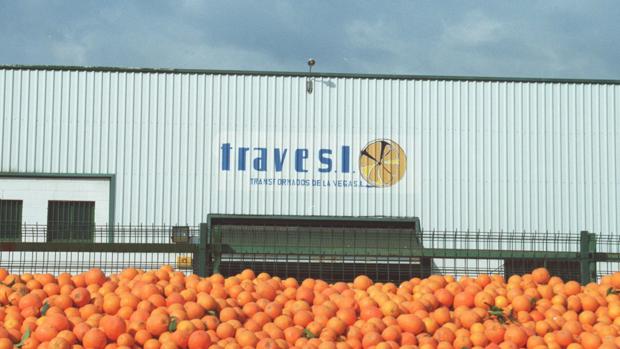 Una empresa de naranjas de Palma del Río