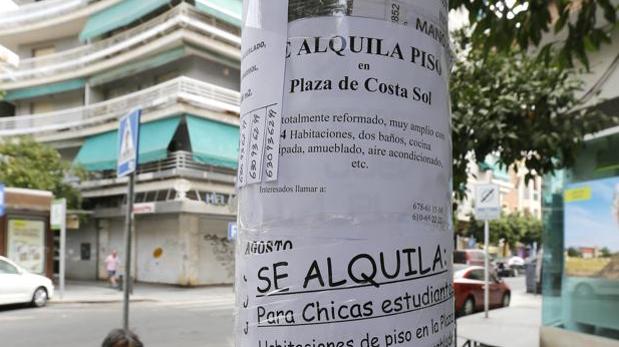 Anuncios de pisos en alquiler en Córdoba