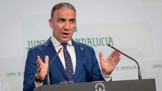 Elías Bendodo, portavoz del Gobierno andaluz
