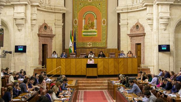 Imagen del pleno del Parlamento celebrado el miércoles 29 de mayo
