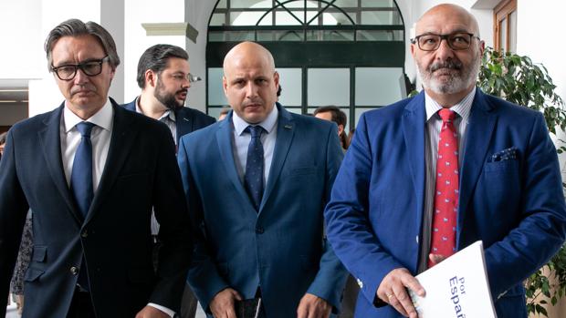 Diputados de Vox, aywer en el Parlamento andaluz