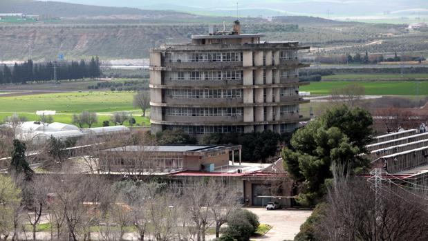 Imagen de la Torre de Agrónomos de la Universidad de Córdoba