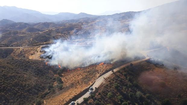 imagen del incendio, originado en la tarde de este sábado
