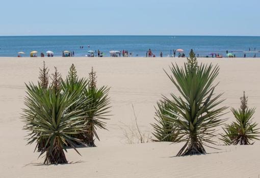 Isla Canela