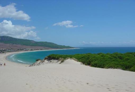 Bolonia