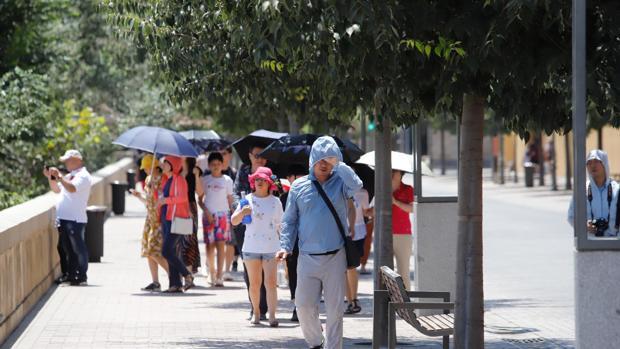 Turistas paseando por Córdoba