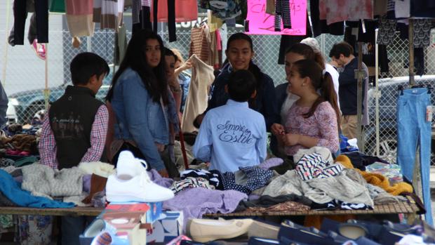 Mercadillo de los Domingos de Lucena