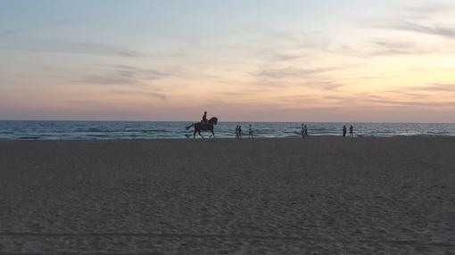 Paseo a caballo por la playa de Punta Umbría