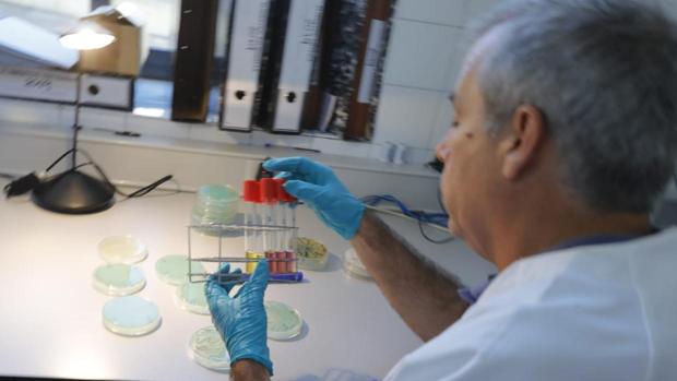 Los análisis han puesto el foco sobre estos dos productos, que se suman a la carne mechada