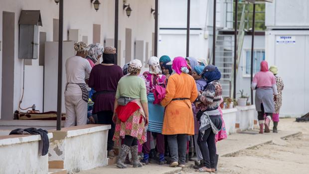 Un grupo de temporeras en la finca del empresario denunciado