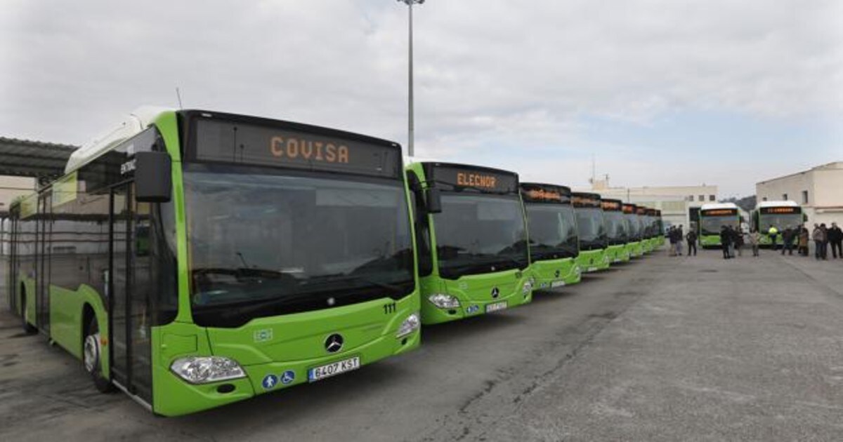 El Autobus Sera Gratis En Cordoba Para Los Acompanantes De Discapacitados