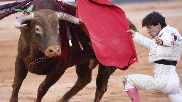 Juan del Álamo, rodilla en tierra