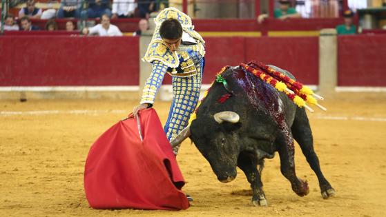 Perera, en un derechazo