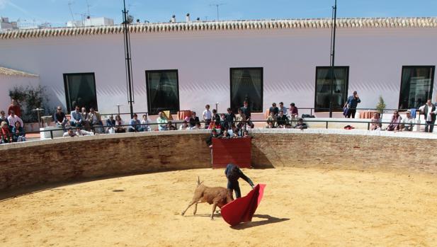 Volver A Los Corrales De Sevilla