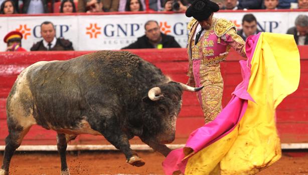 Ignacio Garibay, con su último toro, «Matita de Romero»