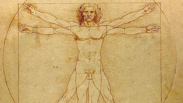 «El hombre de Vitruvio», de Leonardo. Detalle
