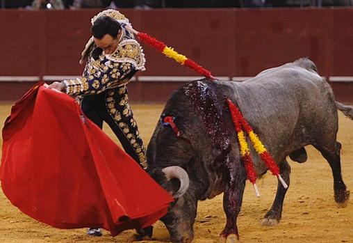 El Cid inicia un pase de pecho al bravo «Morisco»