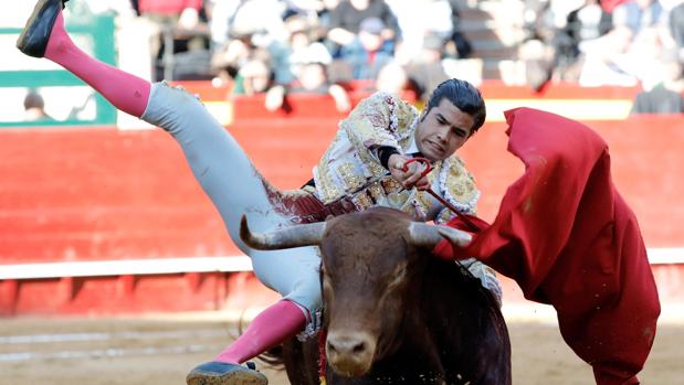 El novillero mexicano Diego San Román sufrió una cornada en el gemelo
