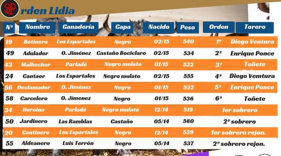 Orden de lidia