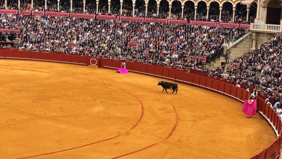 El segundo toro ya está en el ruedo