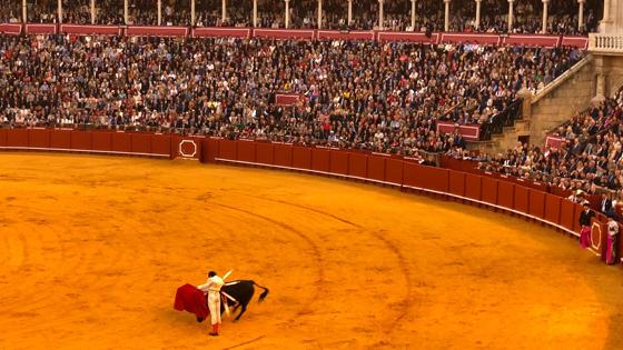 Roca Rey en el sexto toro