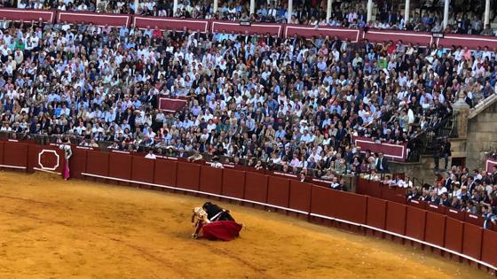 Roca Rey, de rodillas