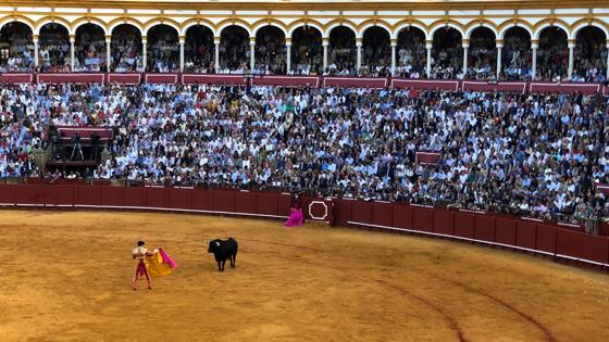 Roca Rey