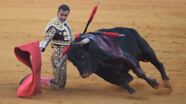 El Fandi da un pase de rodillas esta tarde en la Maestranza de Sevilla