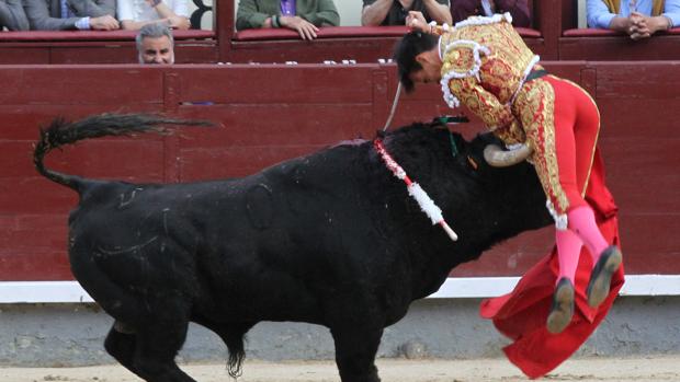 El pitón se hunde en el muslo de Gonzalo Caballero al entrar a matar