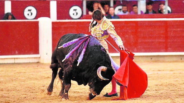 Sebastián Catella gozó del pitón zurdo del cuarto toro de Montalvo