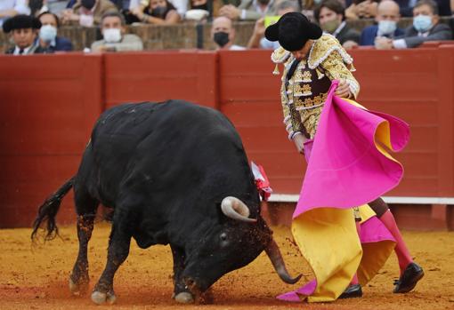 Juan Ortega lanceando al toro &#039;Viñero&#039; de Juan Pedro Domecq