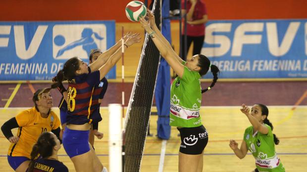 Voleibol femenino