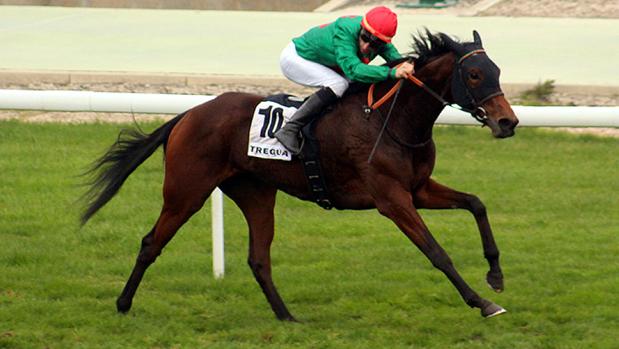 Tregua, este domingo en el Hipódromo de la Zarzuela