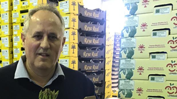 Alonso Navarro, director comercial de Frupal SAT