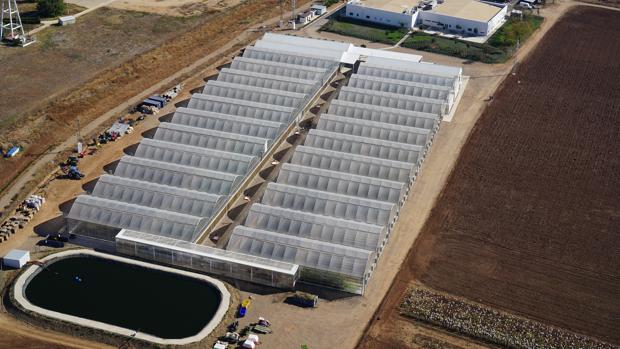 Vista aérea de las instalaciones de Corteva Agriscience en Sevilla