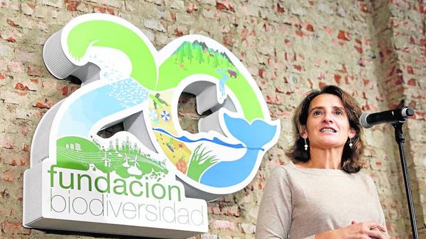 Veinte años poniendo en valor la riqueza y el capital natural de España