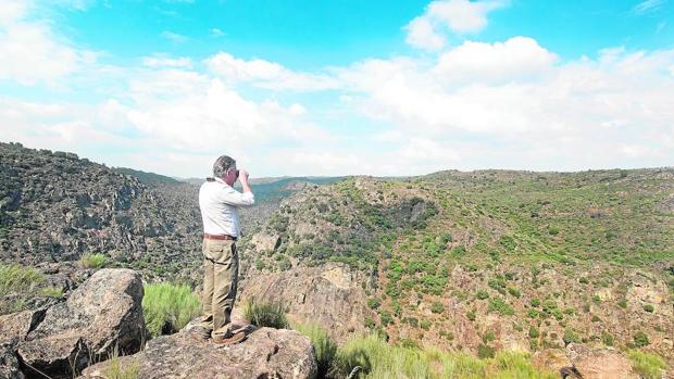 El proyecto Oeste Ibérico es un trabajo transfronterizo que cubre 2,5 millones de hectáreas en las provincias de Salamanca, Cáceres y Zamora y en el centro de Portugal