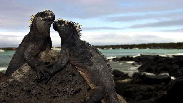 El primer aeropuerto ecológico del mundo está en las Islas Galápagos