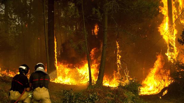 Ecologista en Acción pide a la sociedad que «reproche» más las conductas negligentes y dolosas que originan los incendios