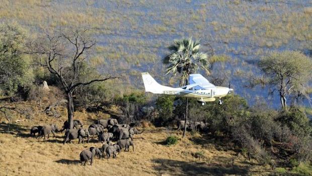 Conoce a las pioneras mujeres masai que protegen la vida silvestre de Amboseli