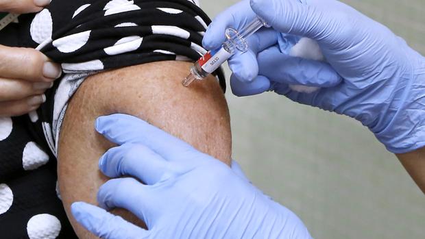 Uno de los lotes que se van a contratar consta de 2.000 vacunas contra la fiebre amarilla