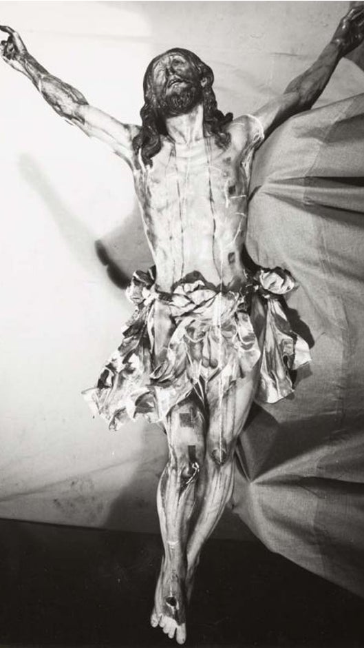 El año del Cachorro