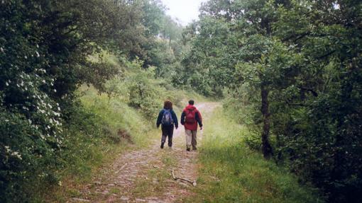 La Sierra Morena es una de las comarcas más atractivas de la provincia para practicar senderismo