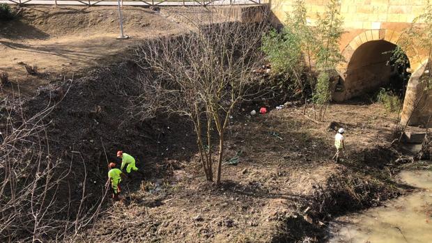 Las labores han comenzado por la zona del puente romano