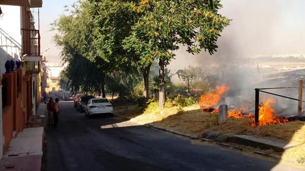 La colina del Carambolo ardía de nuevo este lunes
