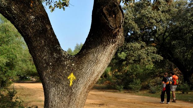 Flecha amarilla que sirve de orientación a los peregrinos del camino de Santiago