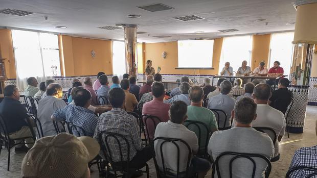 Un instante de la reunión mantenida por la asociación de productores de aceituna «El Verdeo»