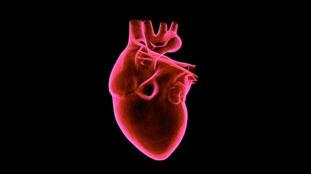 Existe la necesidad urgente de cuidar los corazones de estos pacientes.