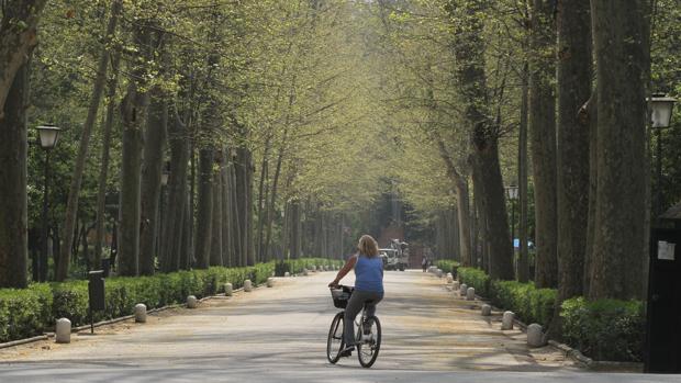 Una ciclista en pleno Parque de María Luisa